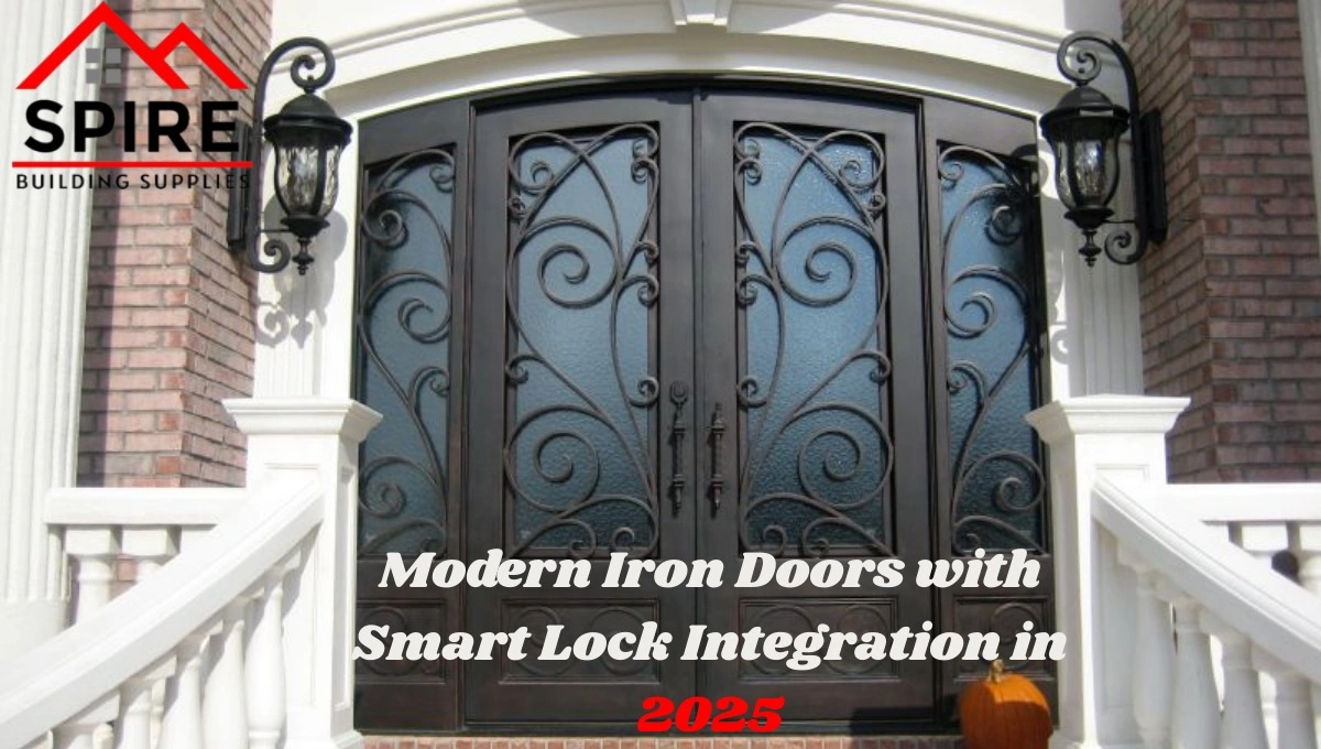 Modern Iron Doors