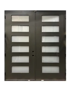 Double Door With 6 Flush Glazed Panels